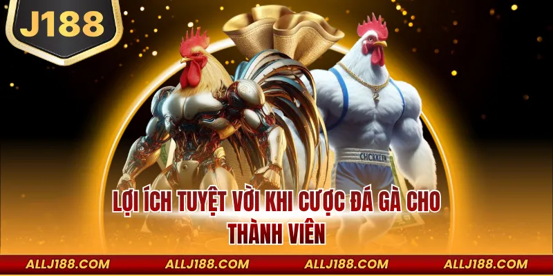 Cách Tham Gia Sảnh Đá Gà J188 Chi Tiết Cho Người Mới Bắt Đầu 4 Lợi ích tuyệt vời khi cược đá gà cho thành viên
