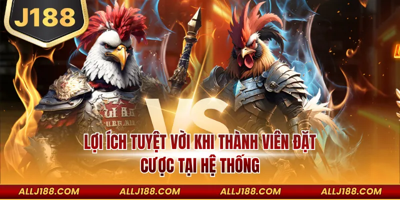 Đá Gà Ăn Tiền Là Gì? Nên Chơi Ở Đâu Đảm Bảo An Toàn 4 Lợi ích tuyệt vời khi thành viên đặt cược tại hệ thống