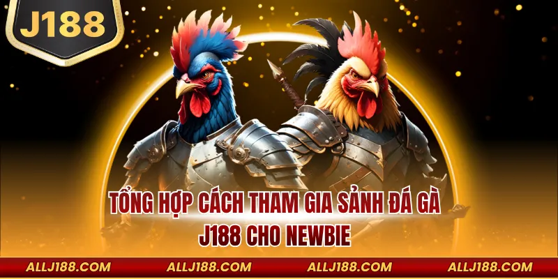 Cách Tham Gia Sảnh Đá Gà J188 Chi Tiết Cho Người Mới Bắt Đầu 3 Tổng hợp cách tham gia sảnh đá gà J188 cho Newbie